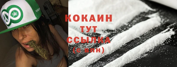 твердый Лабытнанги