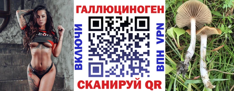 shop какой сайт Кемерово Галлюциногенные грибы Magic Shrooms