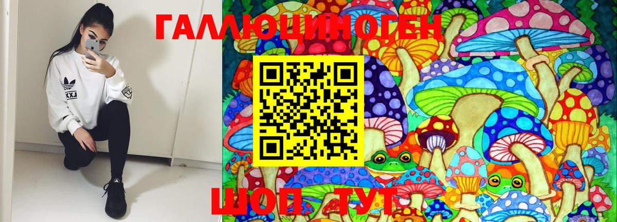 Галлюциногенные грибы Psilocybe  Кемерово 