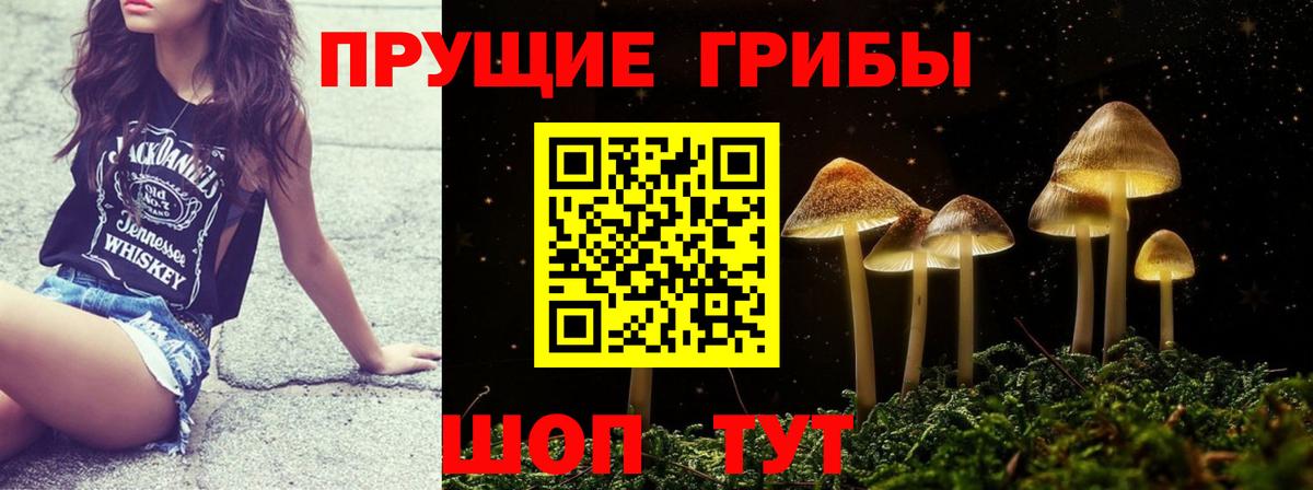 где продают наркотики  Вход с VPN  Кемерово  Псилоцибиновые грибы Psilocybine cubensis  Псилоцибиновые грибы Psilocybine cubensis 