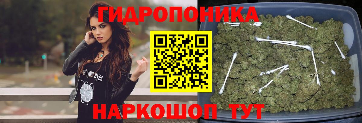Шишки марихуана план  Каннабис семена  Кемерово  Канабис White Widow 